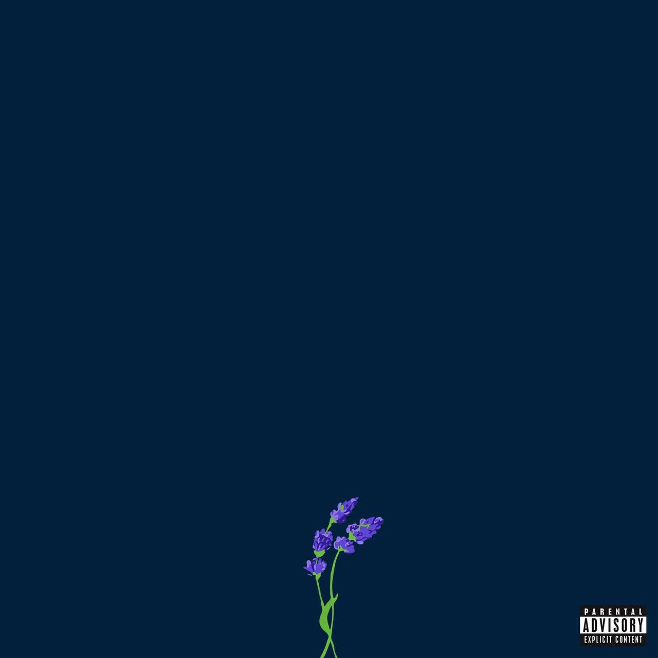 gnash - us 2016 - ALAC