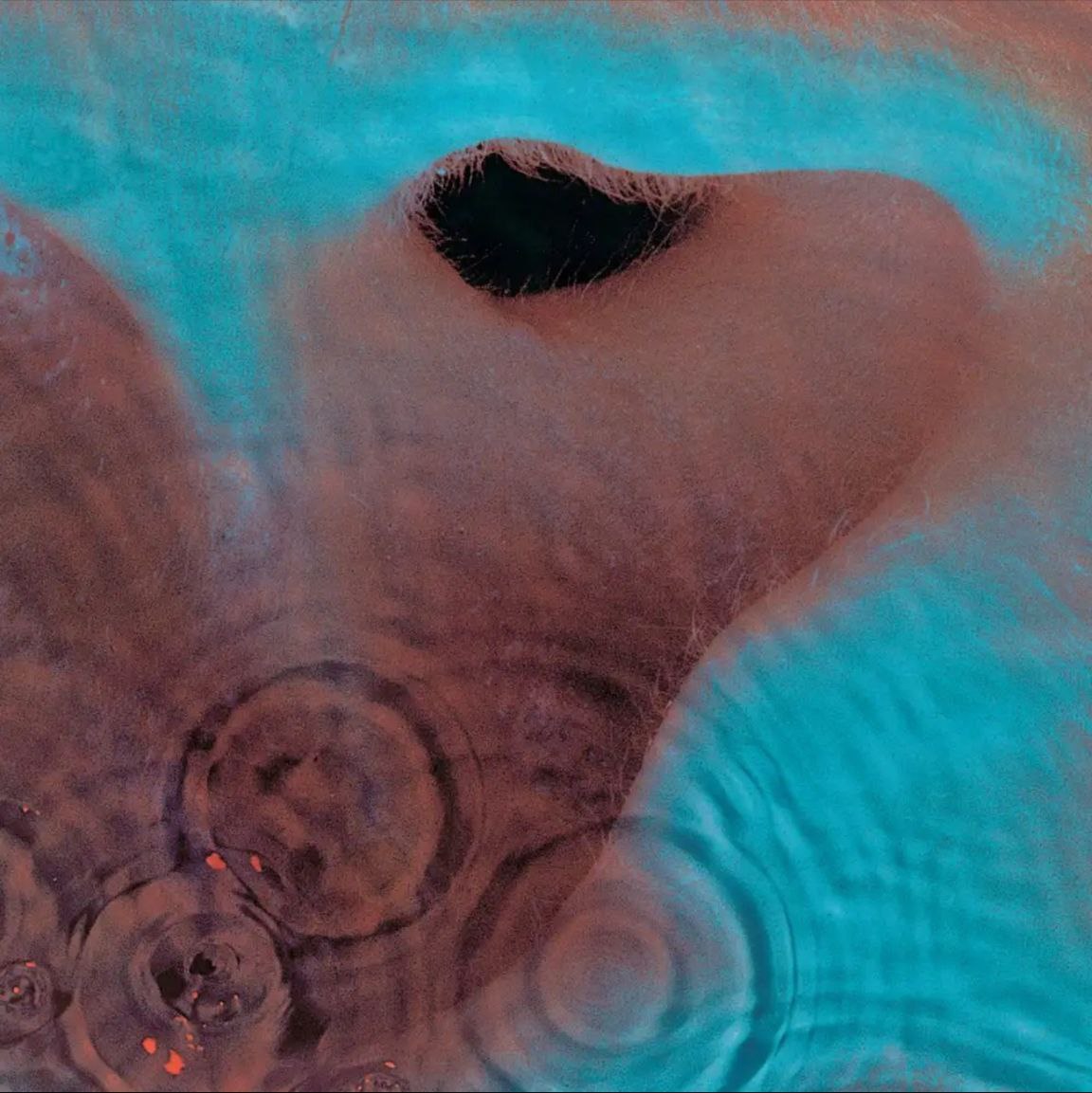 Pink Floyd - 1971年专辑 - Meddle   Flac