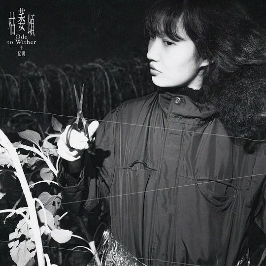王忆灵 - 枯萎颂 [E] (2024) FLAC