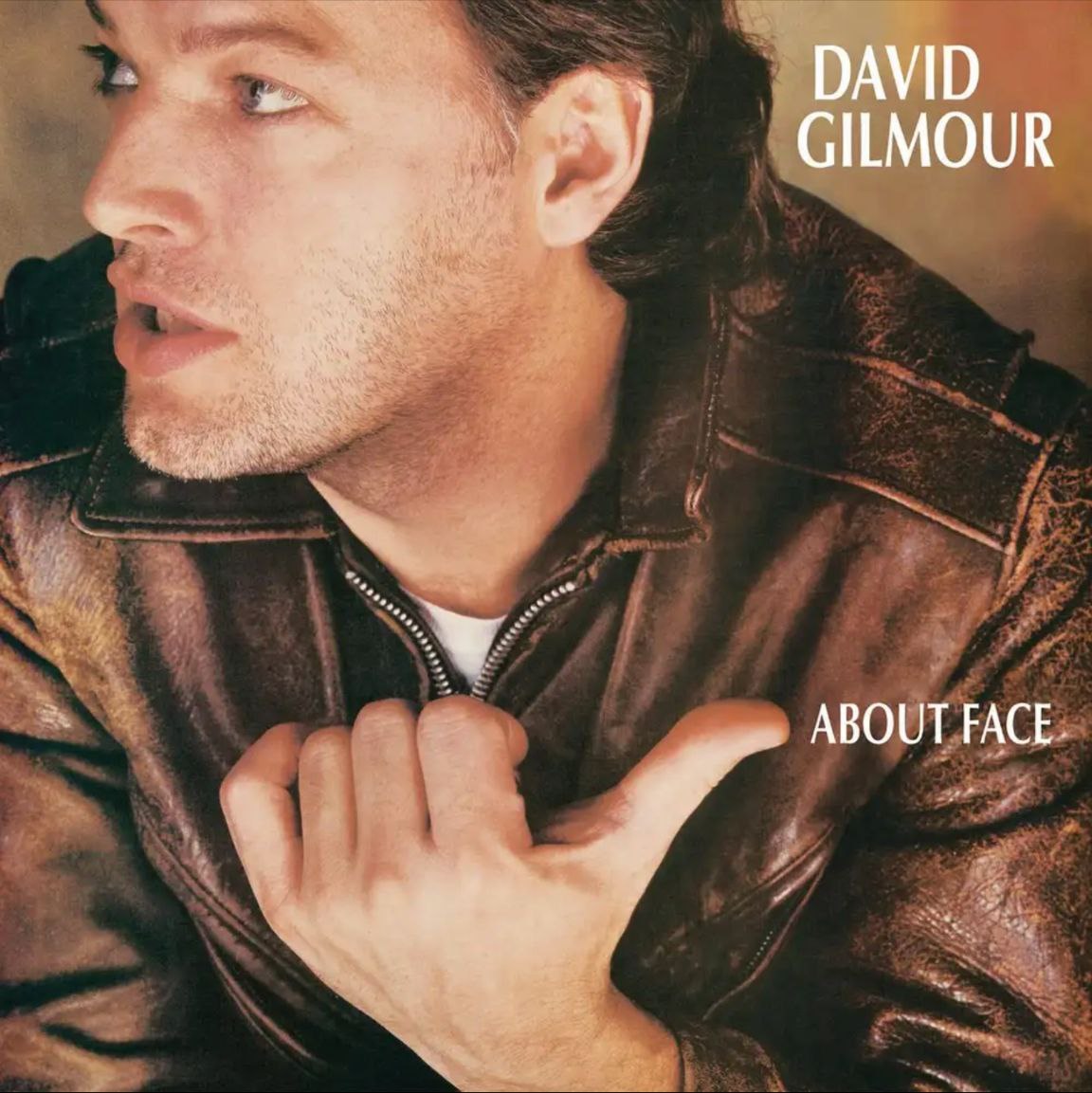 David Gilmour - 1984年专辑 - About Face   Flac
