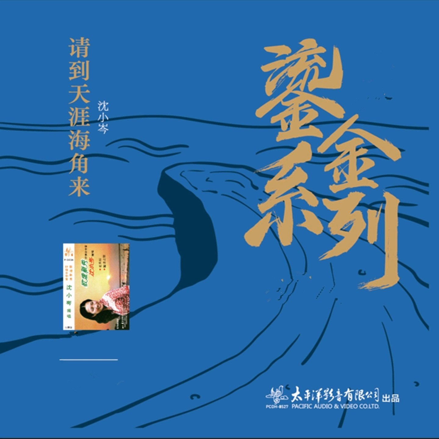 沈小岑 请到天涯海角来  太平洋鎏金系列 FLAC