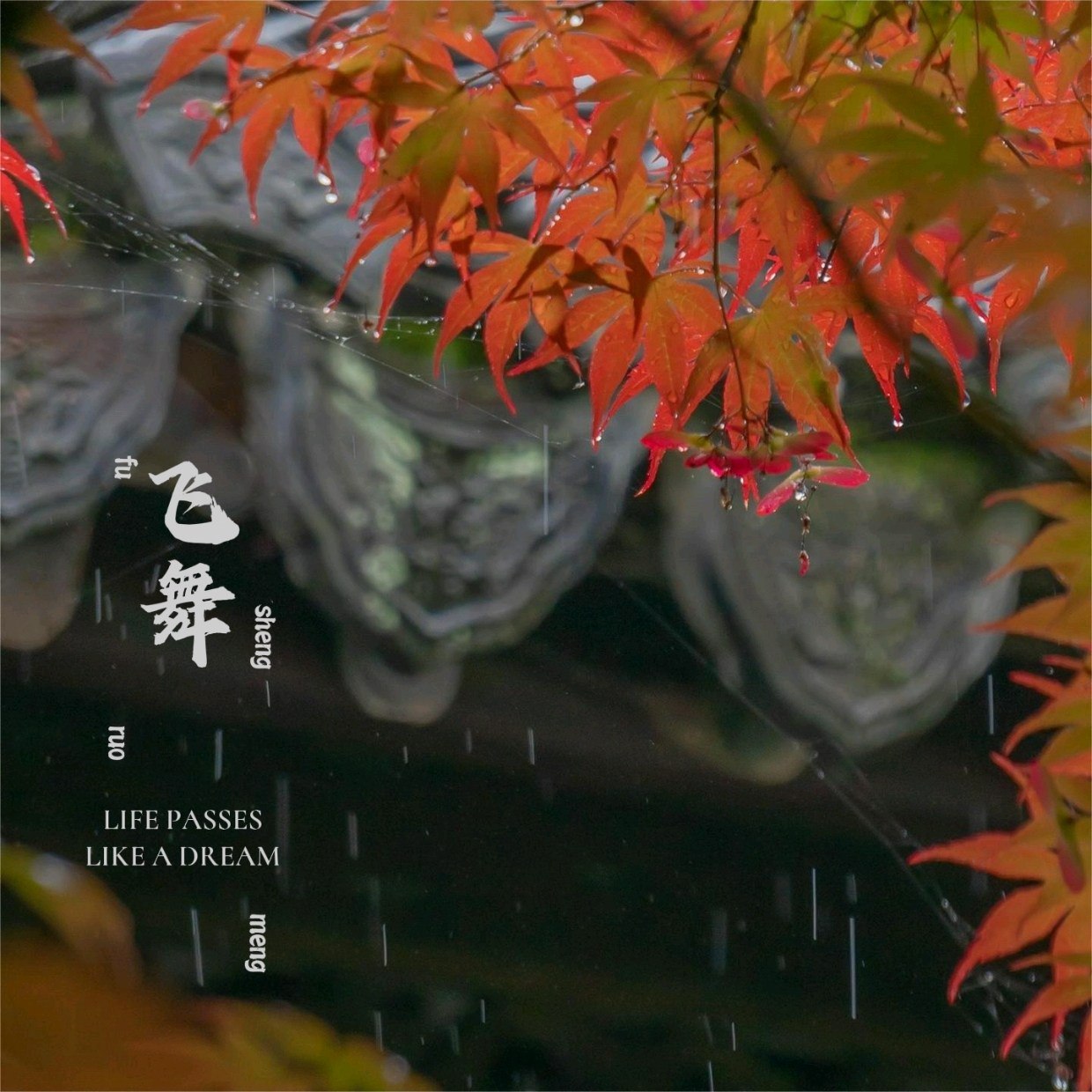 王冰洋 飞舞 2006 FLAC