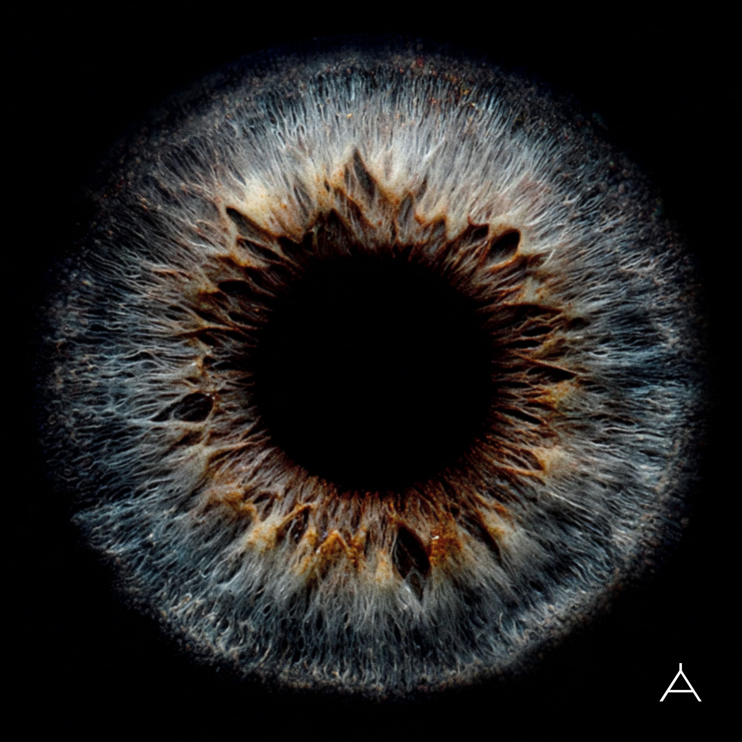 林宥嘉 - Apples of Thy Eye (2025) ALAC 24bit 48kHz