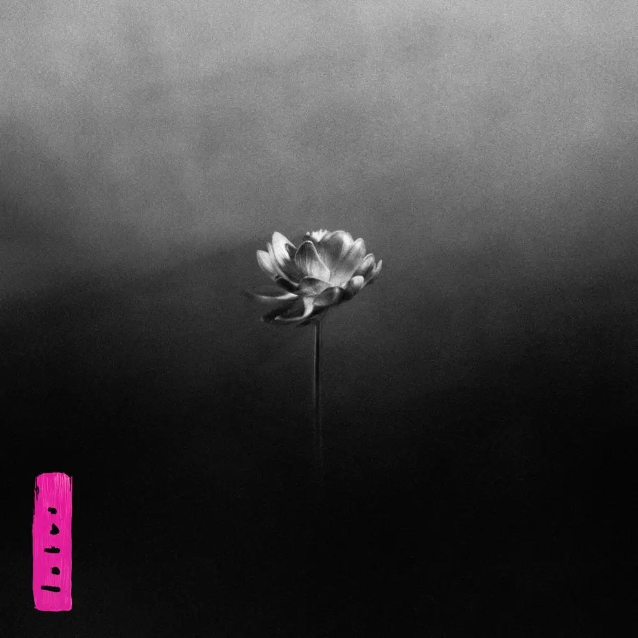Little Simz Lotus 2025-06-06 FLAC