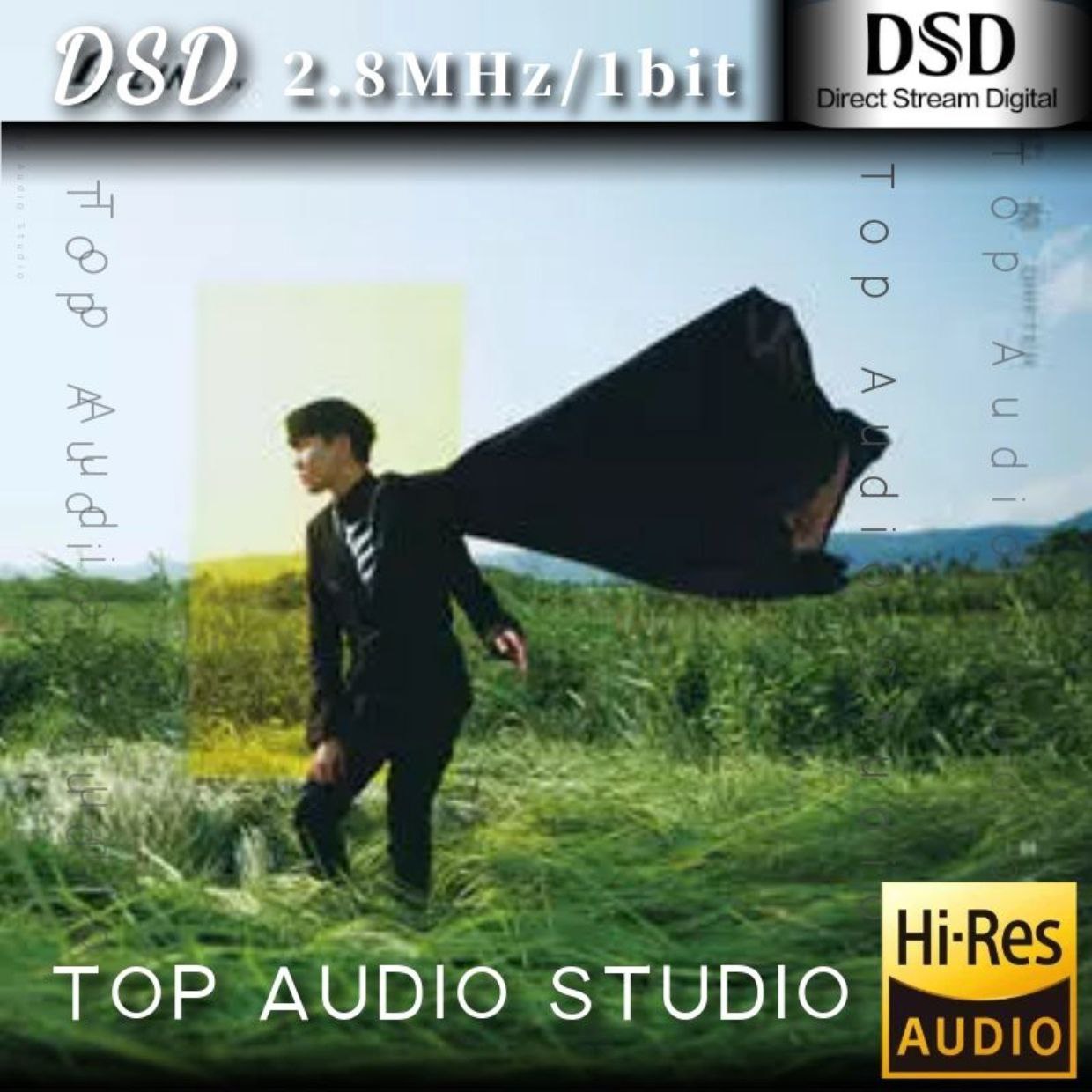 林俊杰 幸存者 Drifter DSD dsf