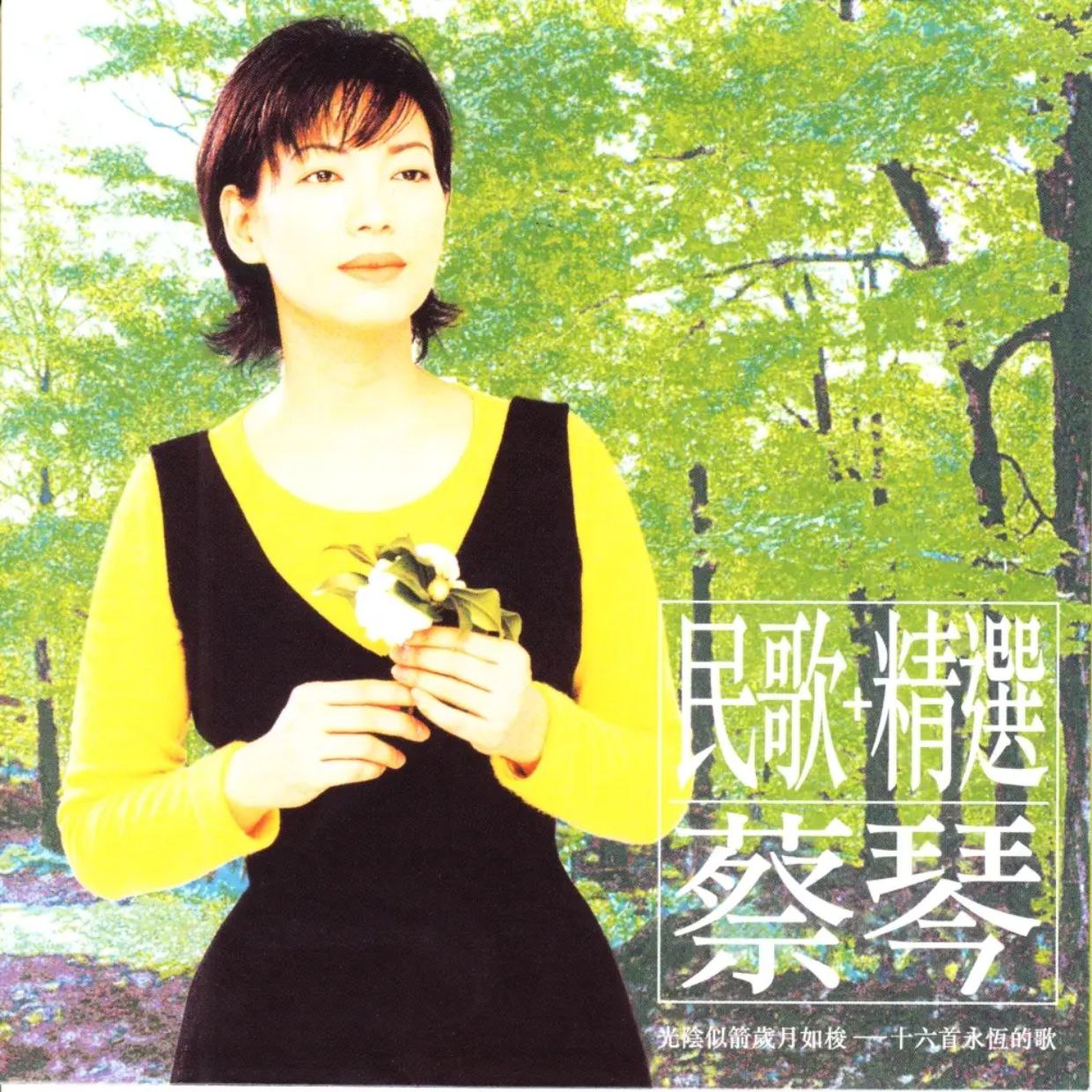 蔡琴 民歌 +精選 FLAC Hi-Res 24bit 88kHz