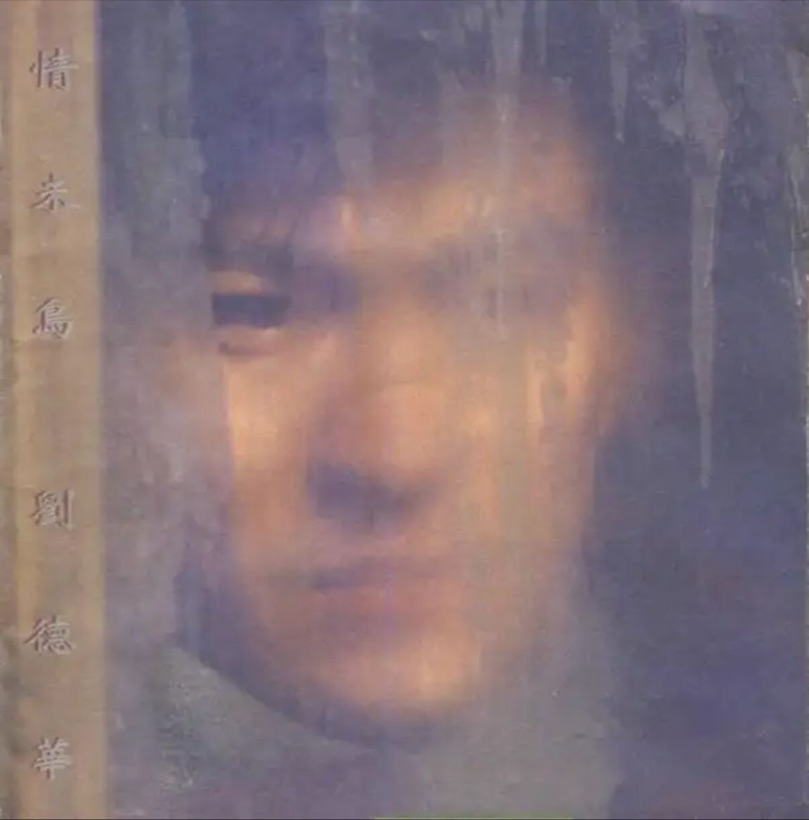 刘德华 - 1995年专辑 - 情未鸟   Flac