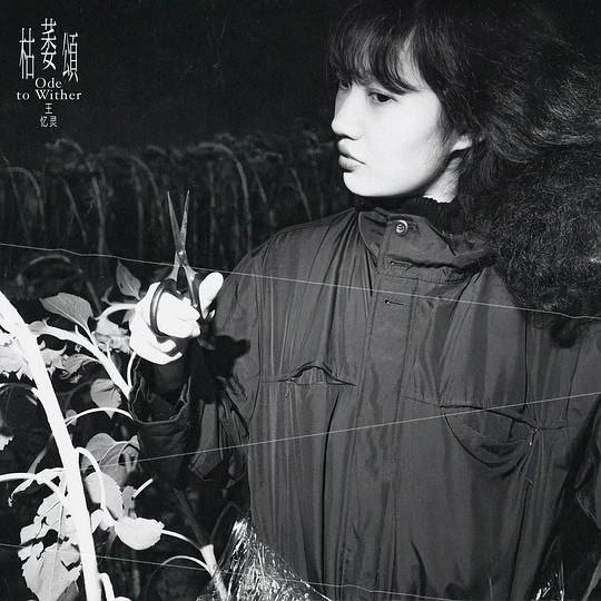 王忆灵 - 枯萎颂 [E] (2024) FLAC