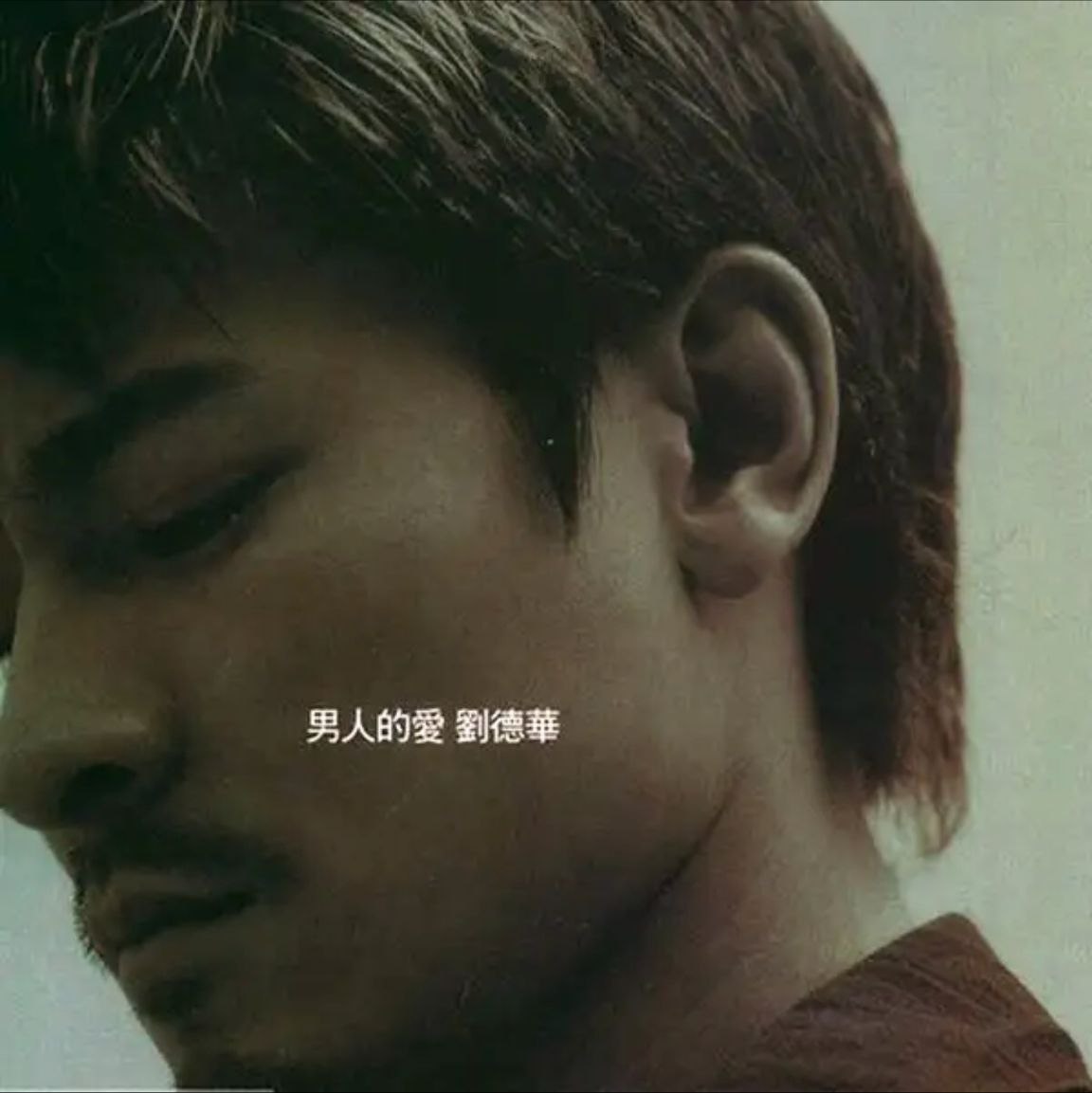 刘德华 - 2000年专辑 - 男人的爱   Flac