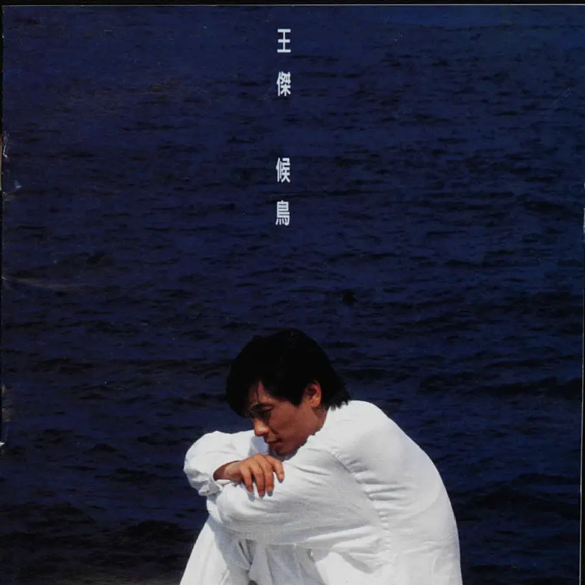 王杰 - 1994年专辑 - 候鸟   Flac