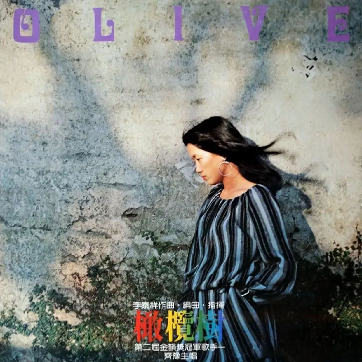 齐豫  橄榄树 flac