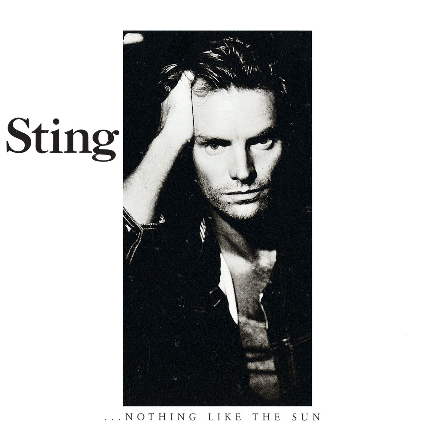 Sting 1987 ...Nothing Like The Sun_sacd