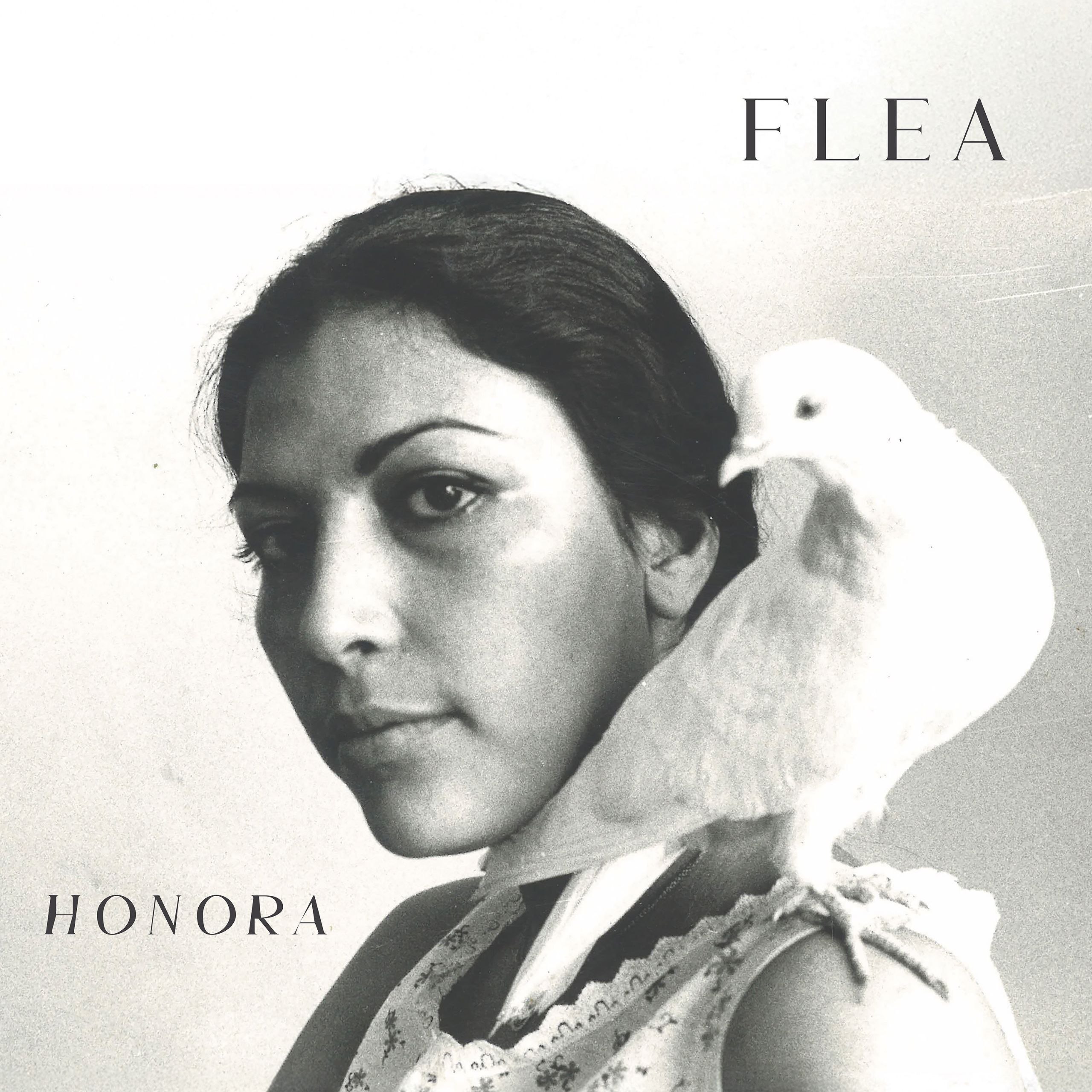 Flea - Honora (2026) FLAC 24bit 44khz 爵士 qobuz