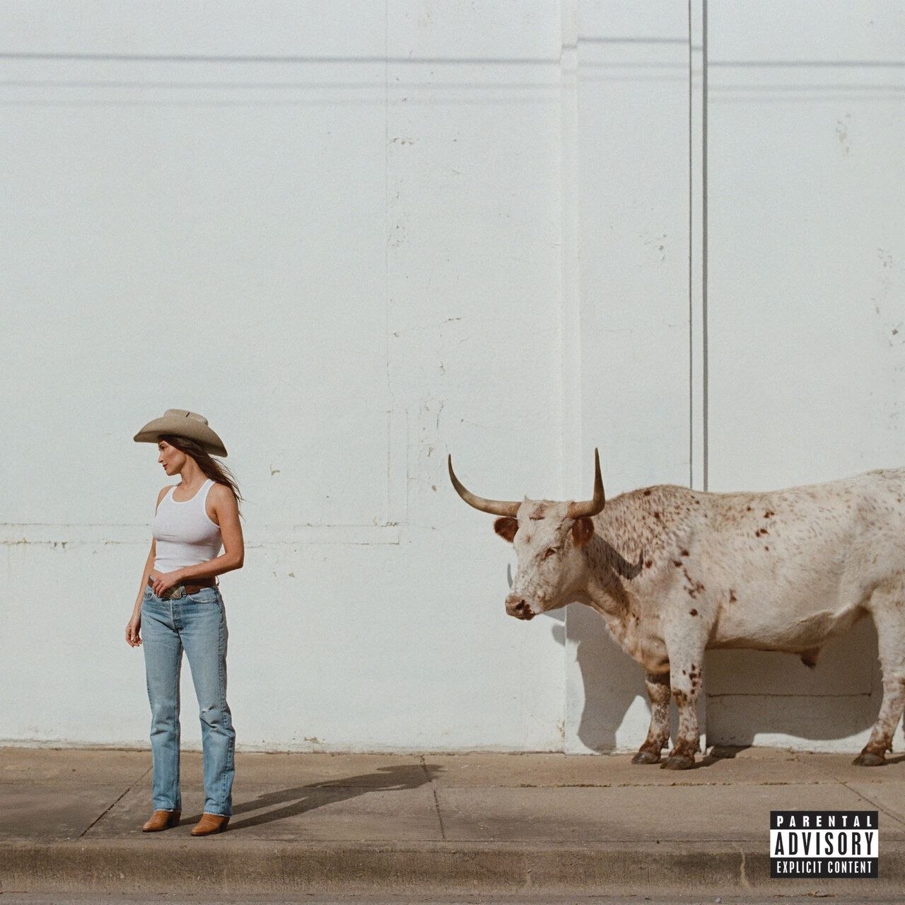Kacey Musgraves - Middle of Nowhere (2026) FLAC 24bit 48kHz