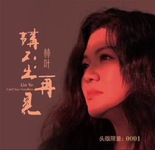 林叶 — 2024年专辑 — 讲不出再见 flac