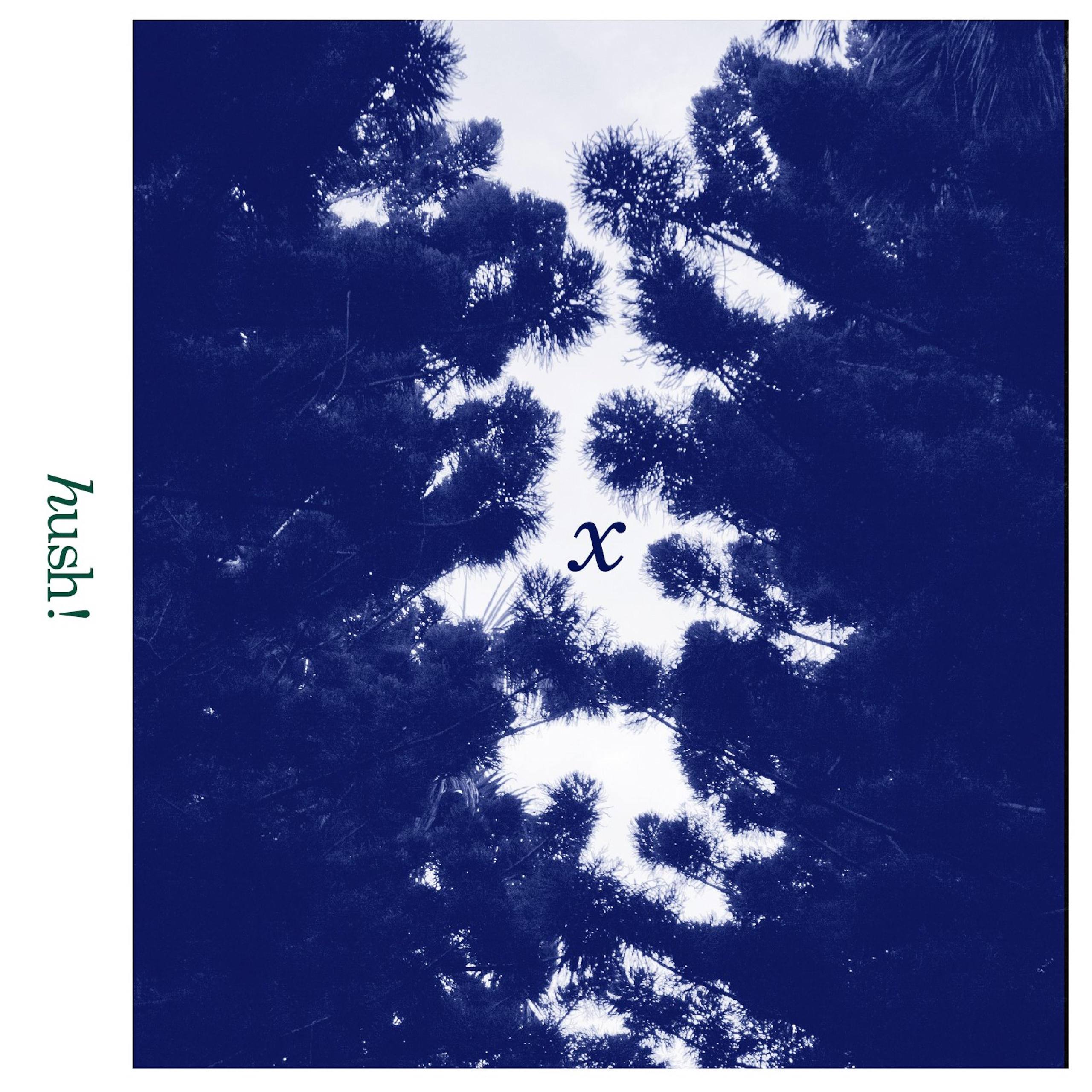 hush！- X 2012 - FLAC
