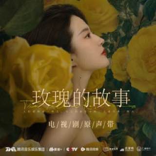 玫瑰的故事 电视原声带 flac