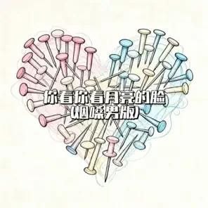 大头针翻唱你看你看月亮的脸 flac 24bit