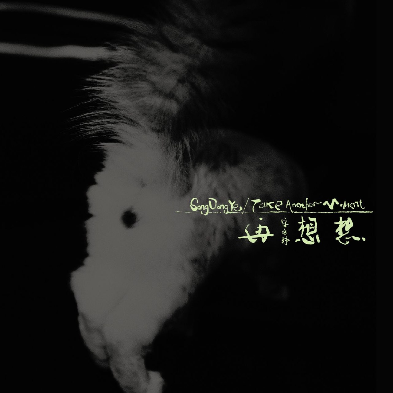 宋冬野 再想想 Take Another Moment - 2026-06-29 44.1kHz 16bit FLAC Qobuz
