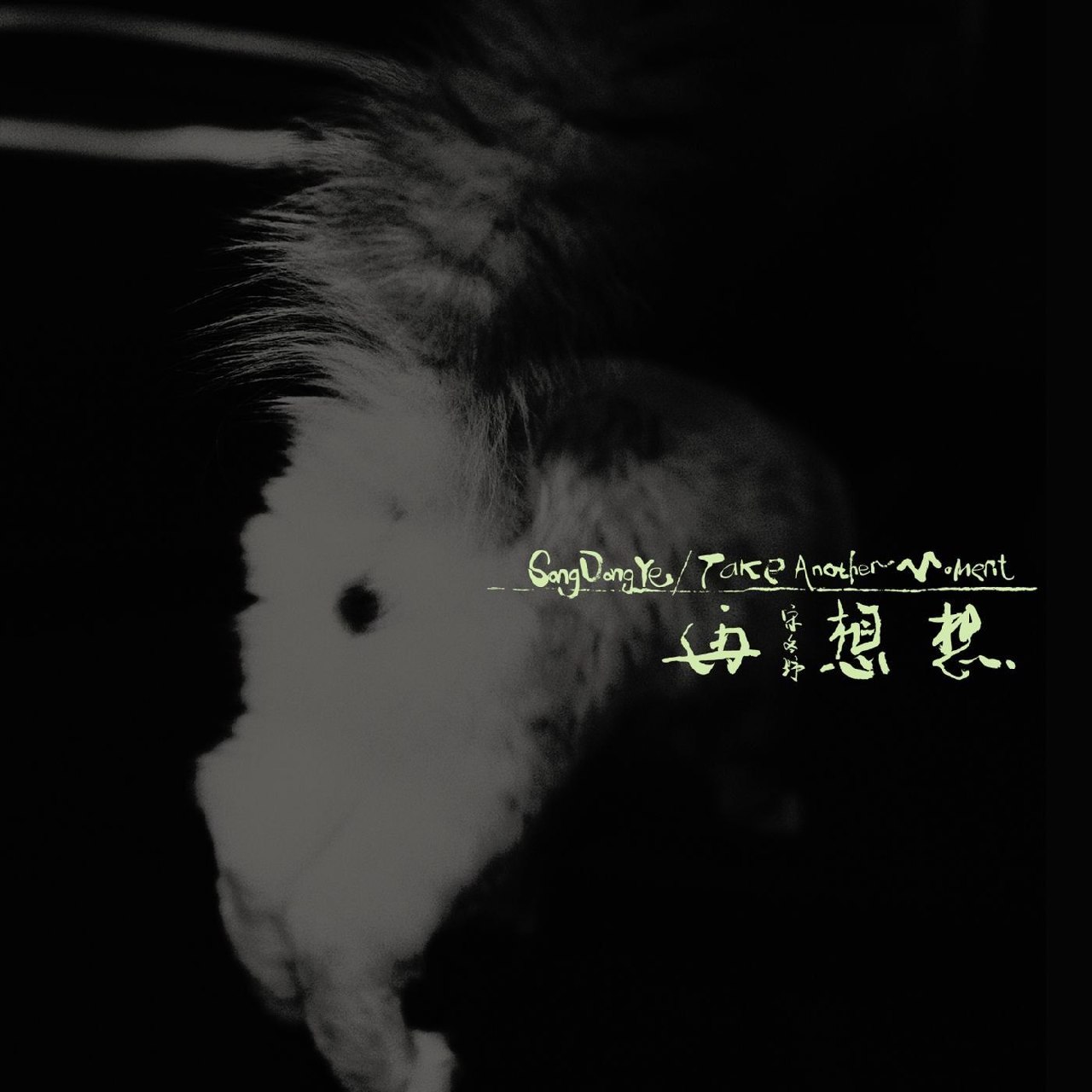 宋冬野 - 再想想 (2026) ALAC 16bit 44khz 附 歌词