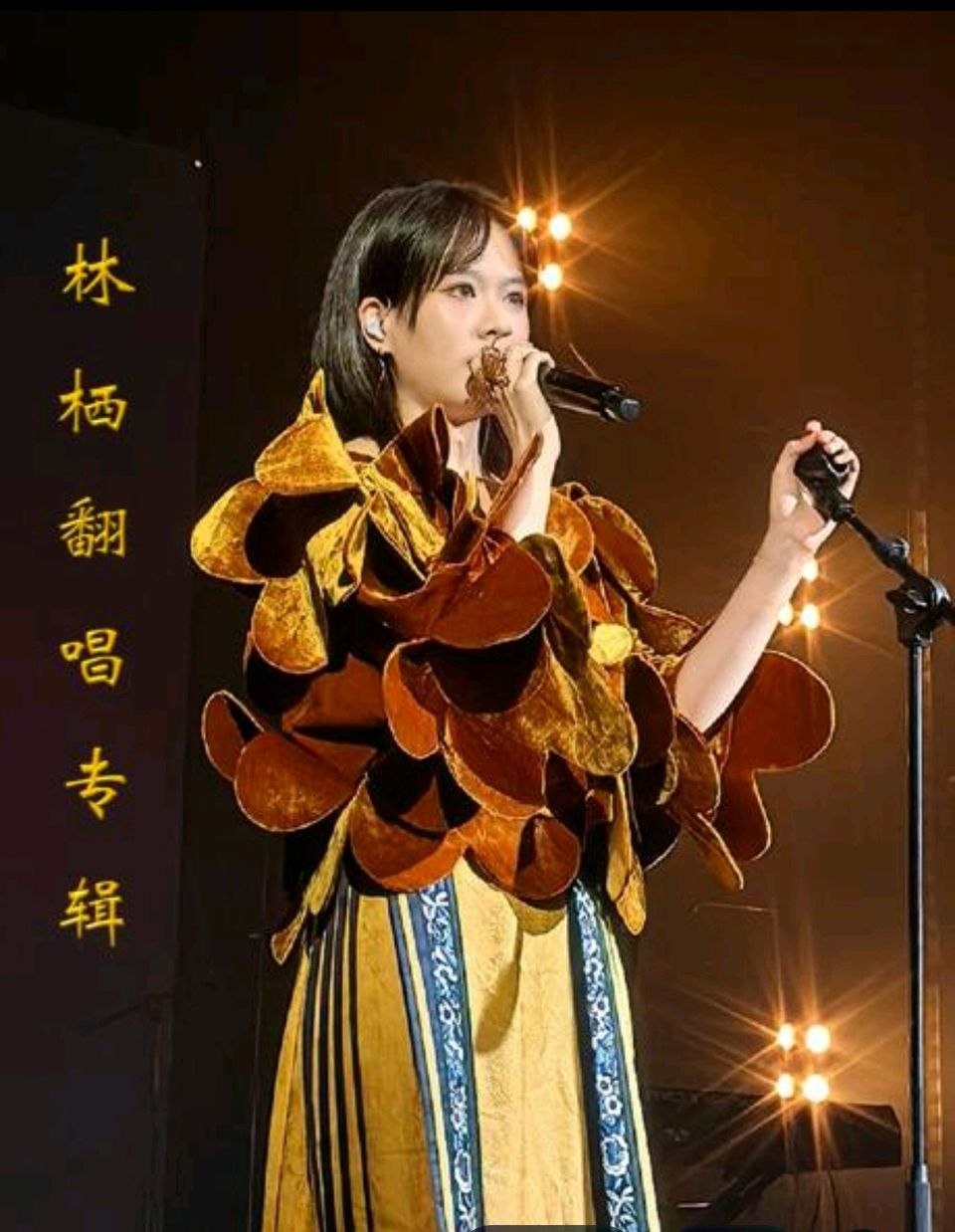 林栖《林栖翻唱精选集》FLAC