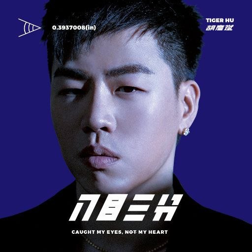胡彦斌 入目三分 FLAC 24bit 44khz.索尼精选