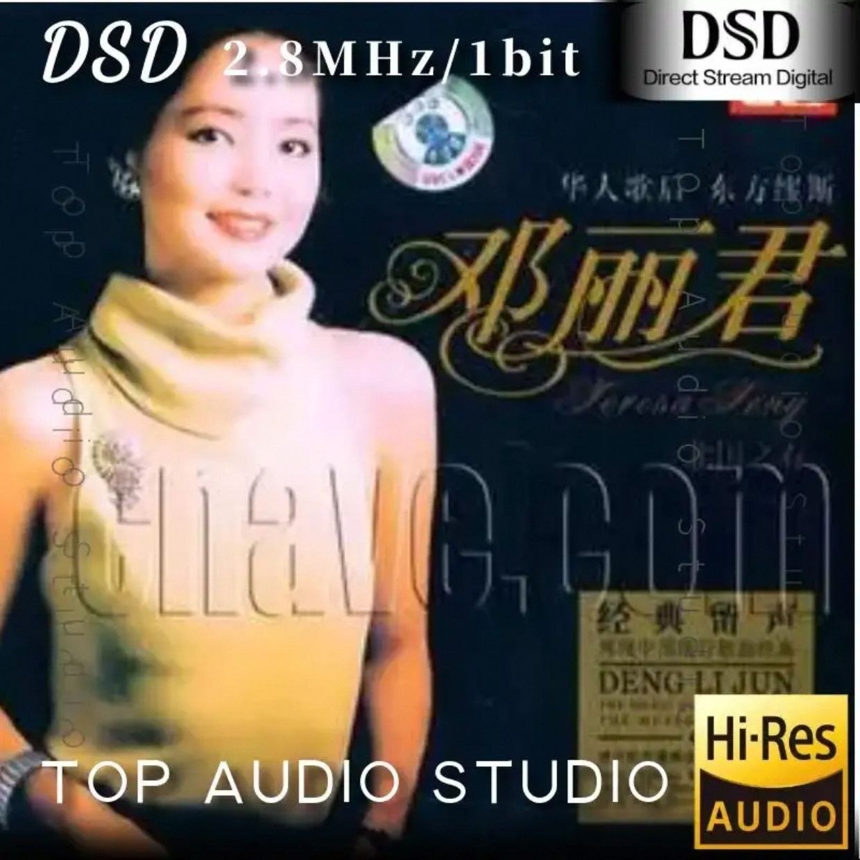 邓丽君 北国之春DSD