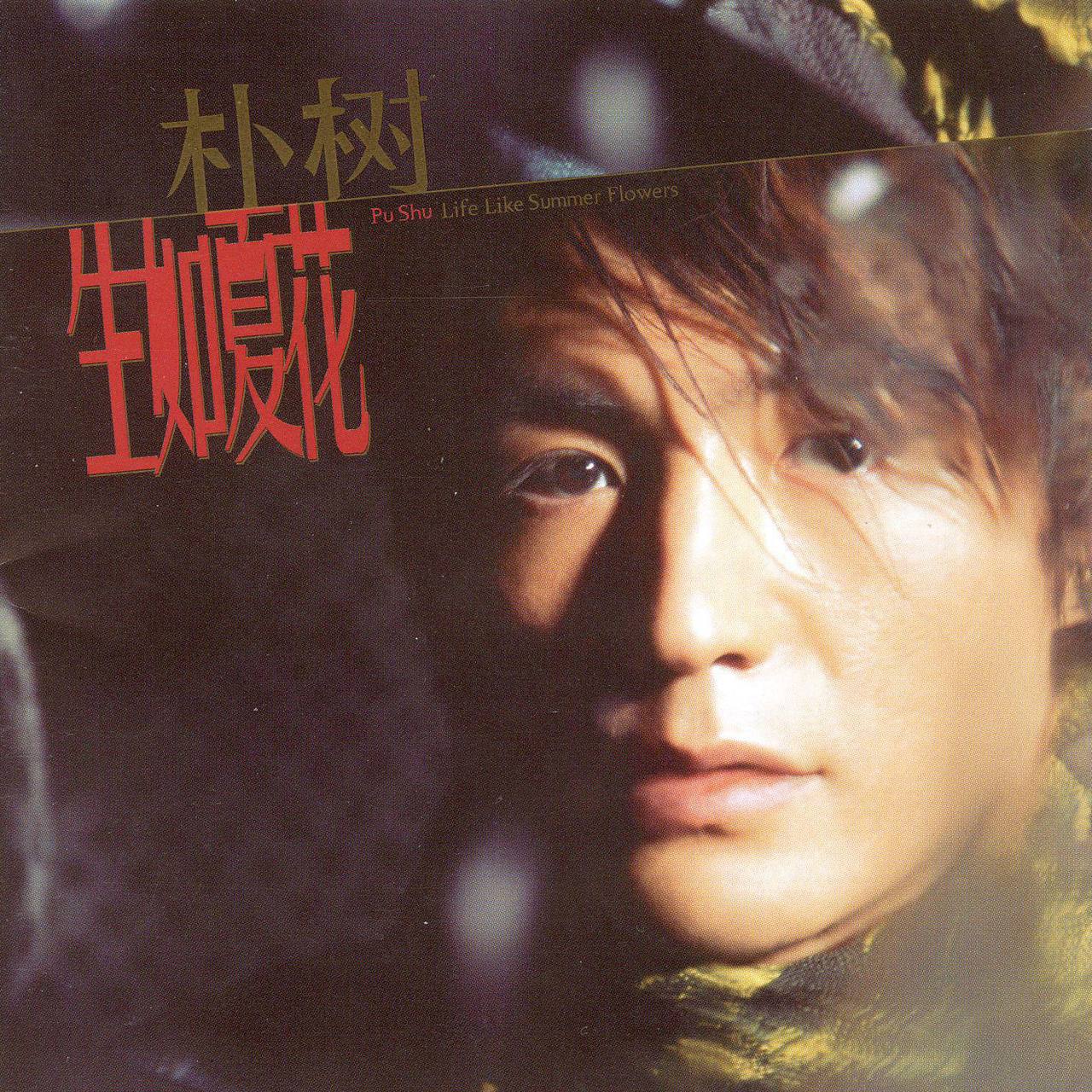 朴树 — 2003年专辑 — 生如夏花 dsf