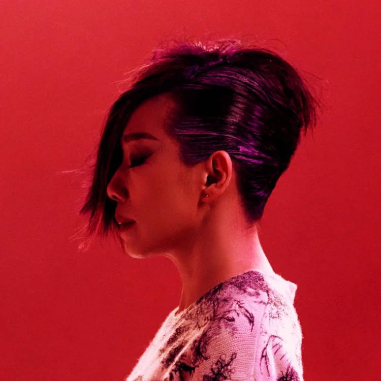 林忆莲（WAV母带合集）