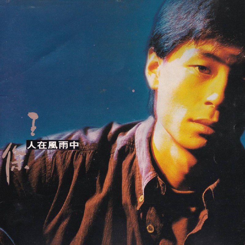 王杰 — 1990年专辑 — 人在风雨中 flac