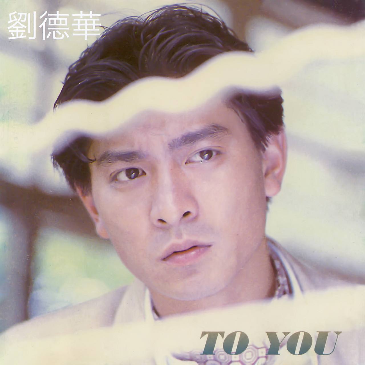 刘德华 - To You 2017 - FLAC 分轨 （环球唱片 / 8860693 / 环球经典礼赞 / log (100%) / Cue / 自抓扫图）